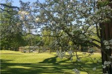361466-paddock32.jpg
