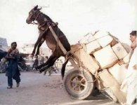 361600-overloaded.JPG