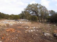 453196-Cleared land.jpg