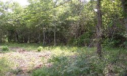 362128-jun_east4.JPG