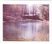 409354-Pond April 04-50.jpg
