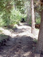 581253-For TBN Trail.JPG