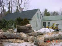 727113-Tree5.jpg