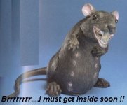 501498-aw rats.jpg