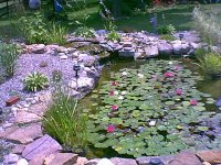 454546-IMAGE012.JPG