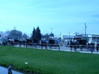 410683-more buggies at lehmans.jpg