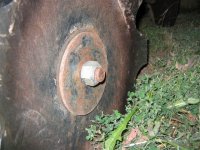 410770-Nut.jpg