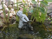 455188-pondboya.jpg