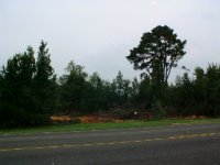 501829-Picture 704.jpg