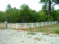 501863-Picture 719.jpg