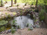 455666-pondjunereduced.jpg
