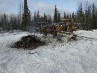 110treegrapple2.JPG