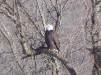 DSCN1465.jpg