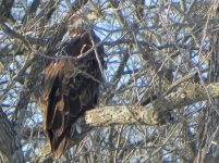 DSCN1473.jpg
