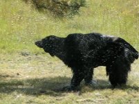 Img7515.jpg