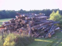 logpile.jpg
