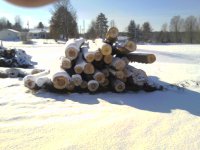 logpile2.jpg