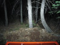 IMG_2355.jpg