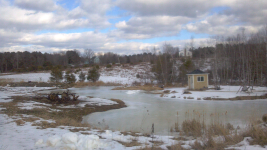 ForumRunner_20120218_143147.png