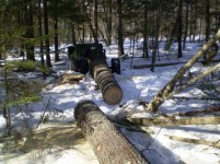 Logging with PUG 29 inch butt log.jpg