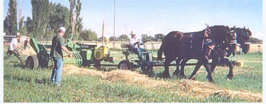 Baler,engine,horse (Small) (Small).PNG