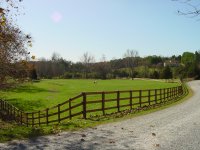 DSC01113.JPG