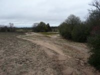 berms spring pond.jpg