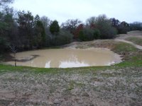 spring pond.jpg