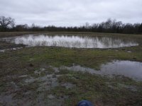 upperpond.jpg