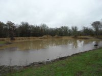 oldpond full.jpg