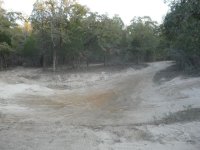 frogpond empty.jpg
