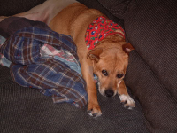 image-1166991485.png