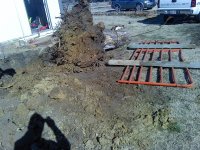 stump3.jpg