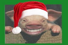 Santa_pig.jpg