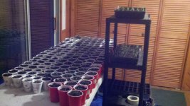 2012-03-09_18-21-04_431.jpg