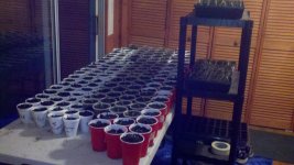 2012-03-09_18-21-12_738.jpg