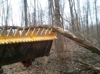 ForumRunner_20120204_154544.jpg