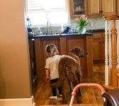 IMG_0548.jpeg