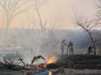 Fieldfire.JPG