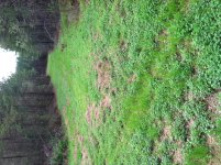 IMG_0139.jpg