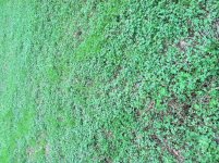 IMG_0141.jpg
