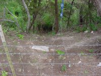 Path.jpg