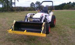 Bobcat 3.jpg