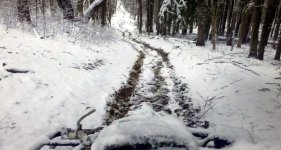 Top of my property.jpg