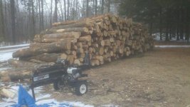 wood 2-17-12 web.jpg