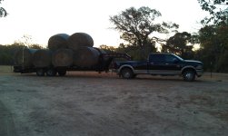 hayhauling pics.jpg