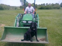 dog deere des.JPG