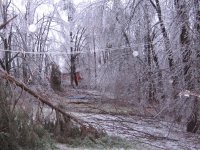 IMG_1624.jpg