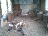 2012-04-17 18.57.27.jpg