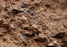 mottling.jpg